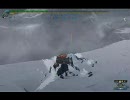 【MHF】 爺さんと行く41ｷﾘﾝ ﾍﾋﾞｨｿﾛ15分針