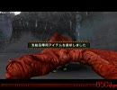 【MHP2G】村★７「雪山に降り立つ赤い影」滋養強壮「お父さん」篇