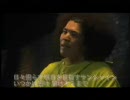 zukan シャイン