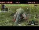 [MHP2G]集会所をソロランサーが何時間で越せるかやってみる　part40