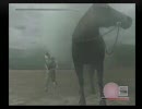 ワンダと巨像 フリーダム実況プレイ Part10