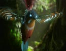 サムスン｢LEDテレビ｣のCM