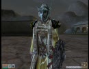 Morrowind ヘタレひとり旅 part108