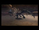 【MHP2G】ソロはコワイけど寄生ハンター卒業するお（・ｗ・´） FIGHT.14