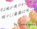 【作業用BGM】花帰葬