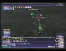 【FFXI】 花鳥風月　リルアプカル【FF11】