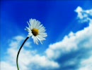Proem - Afternoon Nap