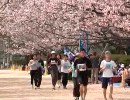 2009さが桜マラソン