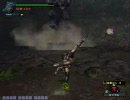 MHF　へたれアーチャー・塔リオレウス　2/2