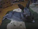 ただ　みつめたいだけ