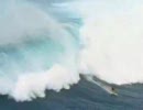 海が俺を呼んでいる。