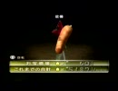 【ルーイ嫌いが】Wii版ピクミン2を実況プレイしてみる【八日目-中編】