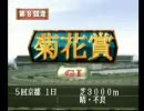 【実況】ダービースタリオン９９に挑戦してみたpart64【ダビスタ】