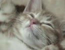 ねむねむハルくん