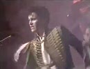 ADAM＆THE ANTS【DOG EAT DOG】1980