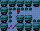 ポケモンクリスタルぐっるぐるに縛る　【５】