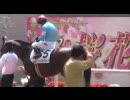 ２００９年４月１２日の阪神競馬場(第２・第３レース)