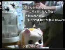 4月14日放送　神回　緑ＶＳホスト