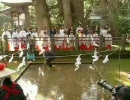 神崎神社御田植祭