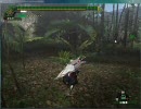 【MHF】パローネキャラバンソロの旅PART１