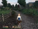 Oblivion とあるエルフの冒険録 part4