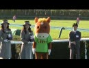 阪神競馬場の第40回読売マイラーズカップ