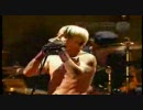 Red Hot Chili Peppers - Power of equality