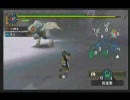 MHP2G 慣れない双剣を下位フルフルで練習してみた(1/2)