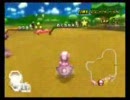 仙豆を食べてマリオカートwii～その１～