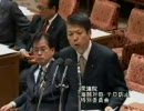 民主党平岡秀夫議員 ソマリア沖の海賊対策についての質疑2+採決