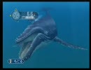 【Wii:Forever Blue】もふーりほっこりダイビング修行プチ実況初プレイpart12-1