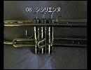 2009 Wind Ensemble定期演奏会 08．シシリエンヌ　09．乾杯の歌　（フルート3重奏）