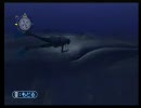 【Wii:Forever Blue】もふーりほっこりダイビング修行プチ実況初プレイpart12-2