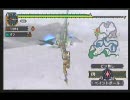 MHP2G 下位フルフルに裸で挑戦してみた（弓）2/2