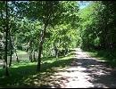 Take me home, country roads　テスト