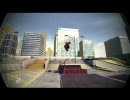 EA skate2 hippie flip#2