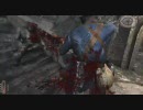 [NO実況]NecroVision_Chapter3-The Hill 3