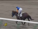 4歳上500万_ゲバルトステイヤー