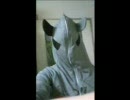 【Fragile】謎耳生物が歌ってみた。【応募作品】