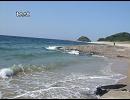 testtesttest