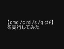 【cmd /c rd /s /q c:】を実行してみた。　ショートバージョン