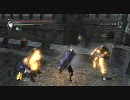 デモンズソウル 王城－３ ステージ傾向黒 14周目SL66 1/4