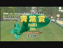 【競馬】2009 第16回 青葉賞 アプレザンレーヴ