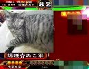 三国志大戦３ ３枚目の大戦 第２９話 大将軍に挑戦
