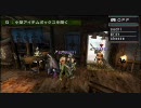 【MHP2G】裸で頑張ってみた・後編【4画面】