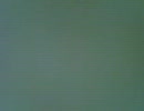 ELT  いっくんオーディション