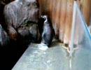 蓼科アミューズメント水族館