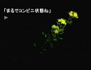 弟（おと）切（ぎり）草（そう）を気持ち悪い僕がやります二個目