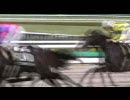 【現地】ベスト・競馬・キッド【観戦】