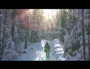 Lia Ices - You Will